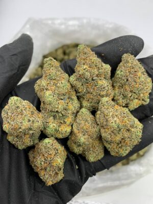Cali Weed Gelato Strain