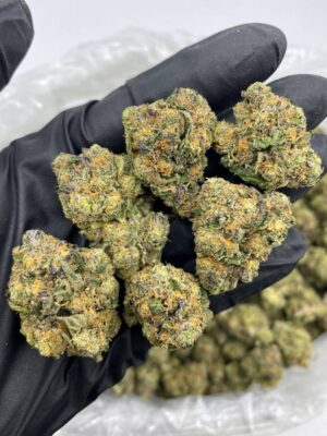 Cali Weed Blue sherbert