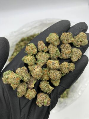 Cali Weed Scooby Snacks Strain